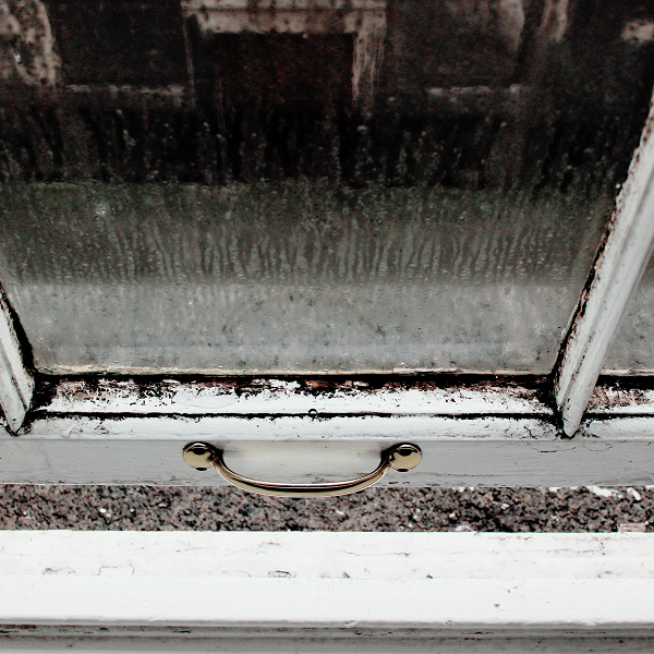 Damp and mould monitoring blog