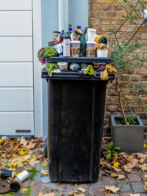 Smart waste bin monitoring